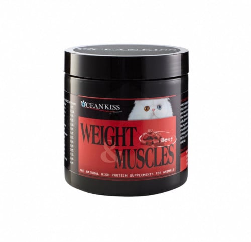 فاتح الشهية للقطط باللحم البقري Weight And Muscles...