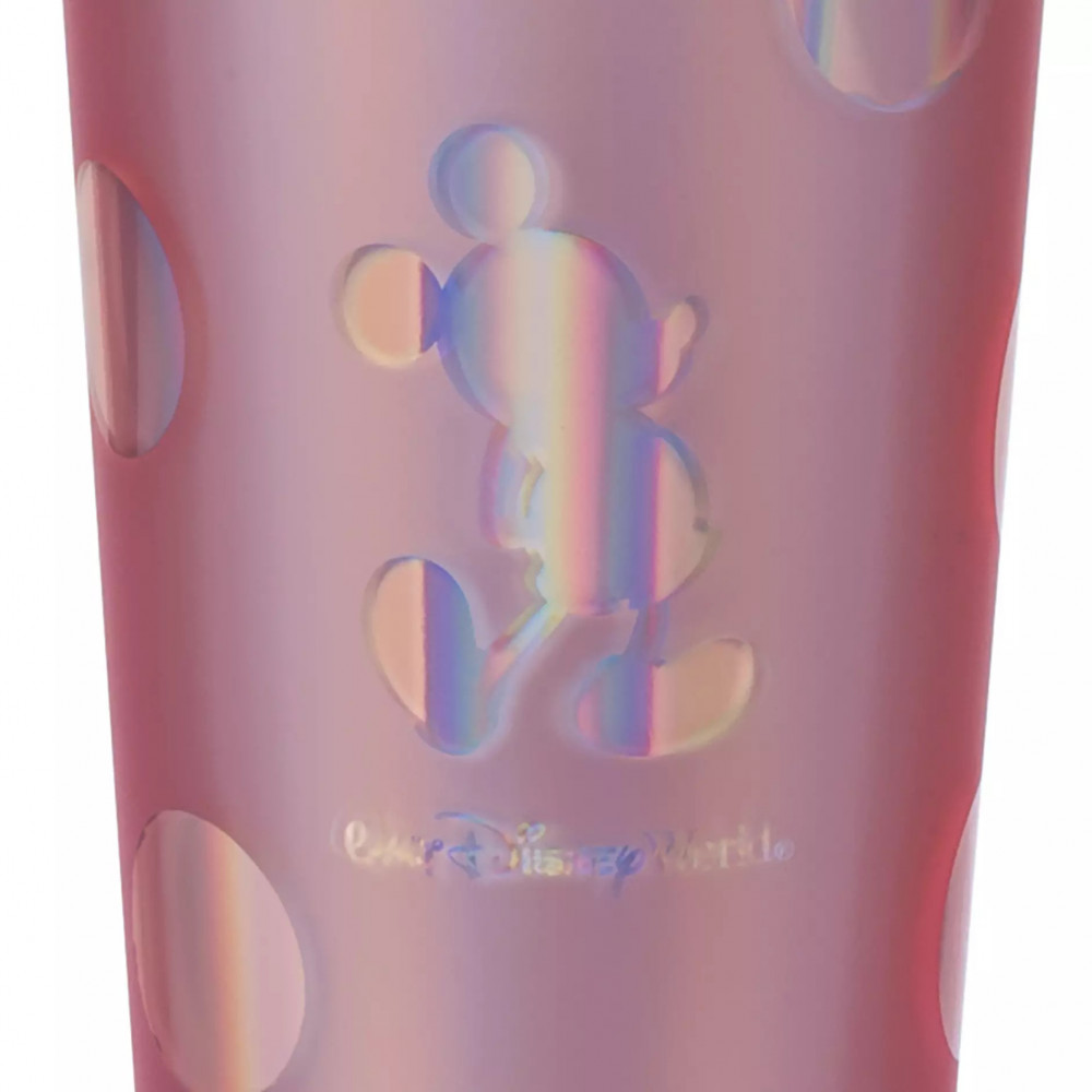 Walt Disney World Stainless Steel Starbucks Water Bottle - Yahoo Shopping