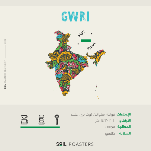 قهوة جاوري من الهند GWRI