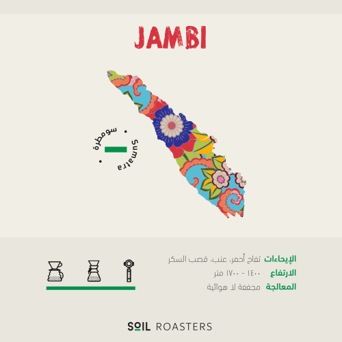 قهوة جامبي من سومطرة JAMBI