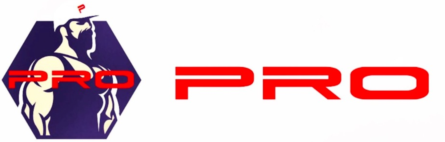 برو | pro