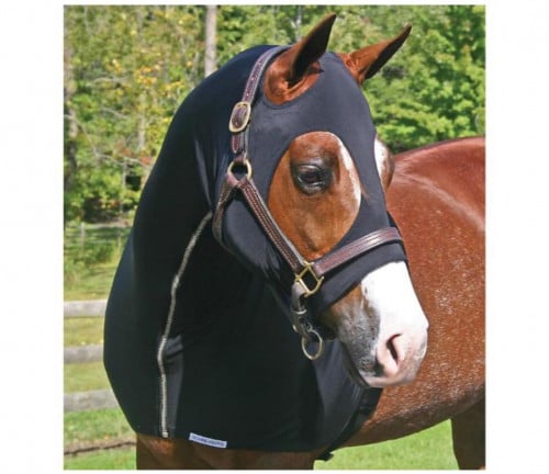 عراقة راس كامل - حول الفرات