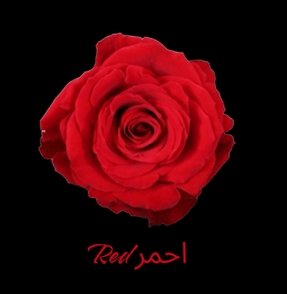 احمر Red