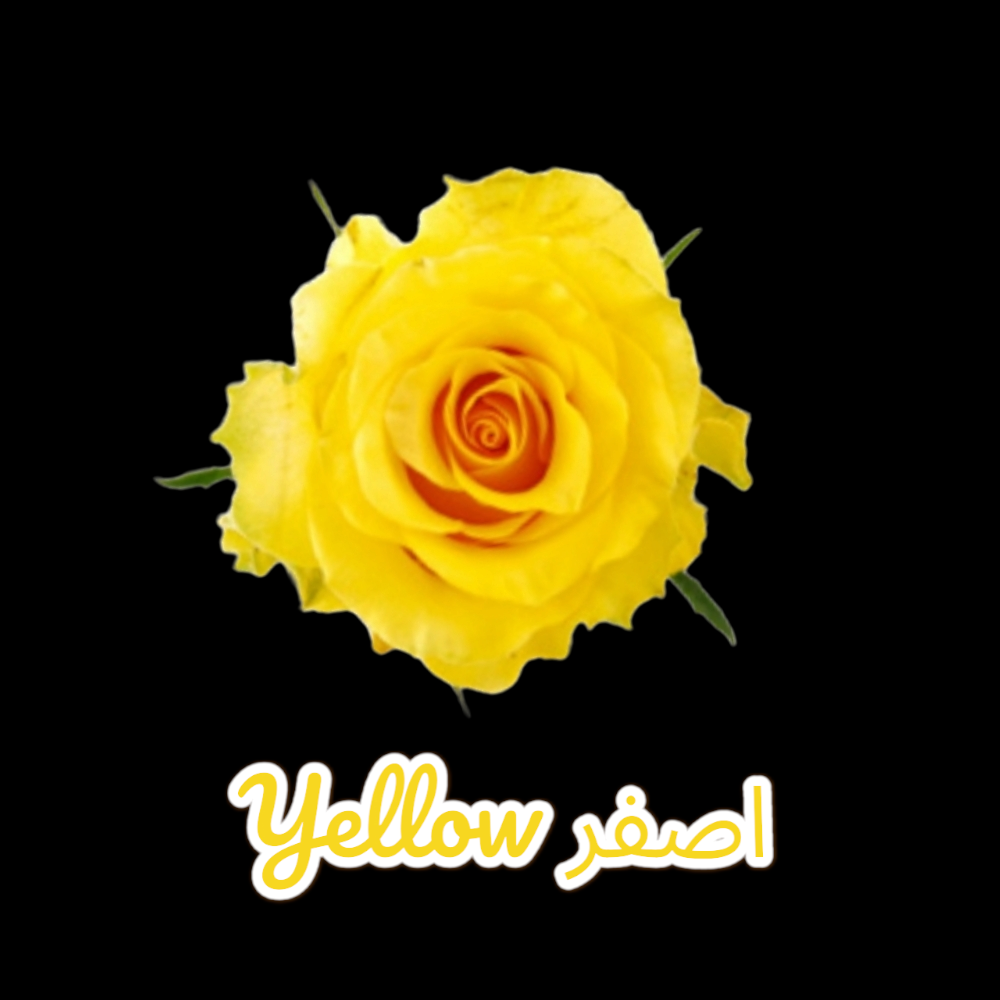 اصفر  Yellow