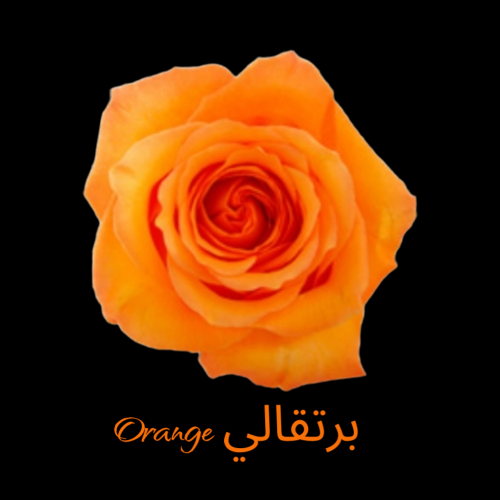 برتقالي Orange