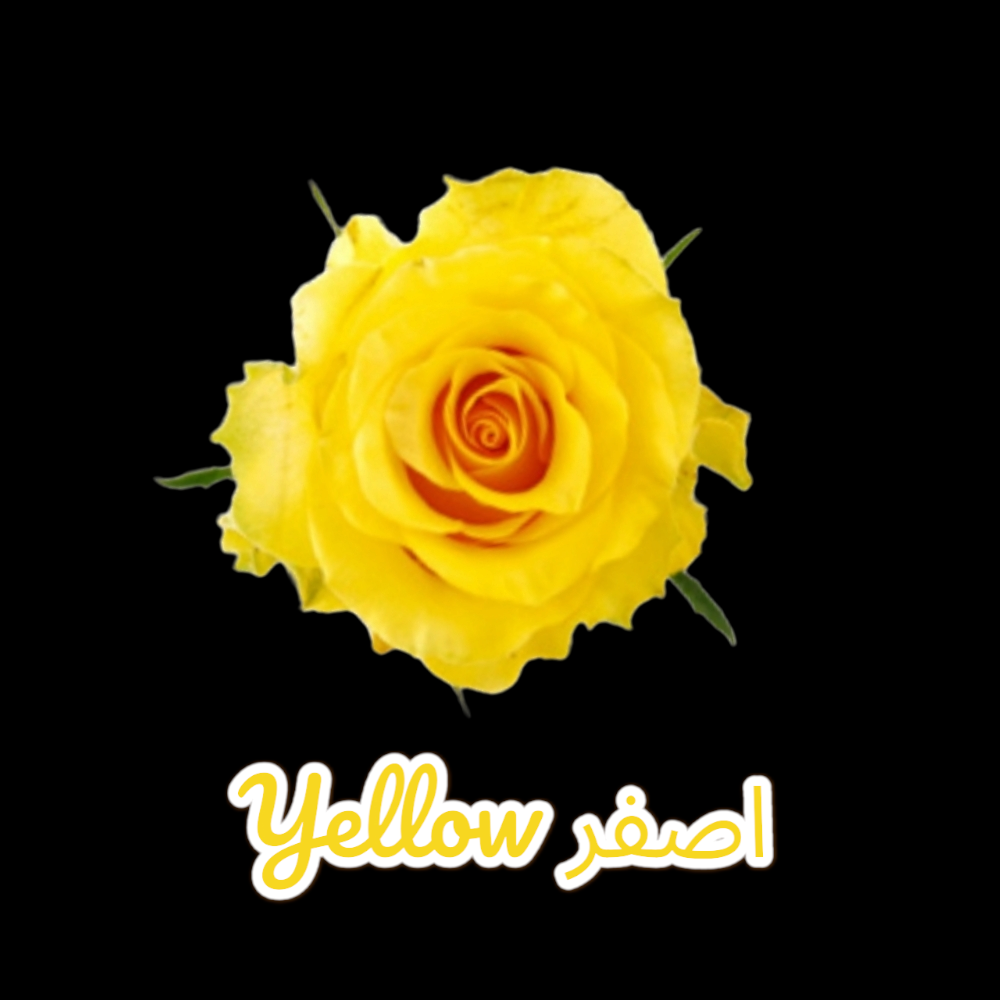 اصفر Yellow