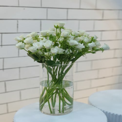 شوق بيبي جوري shawq byby jwri