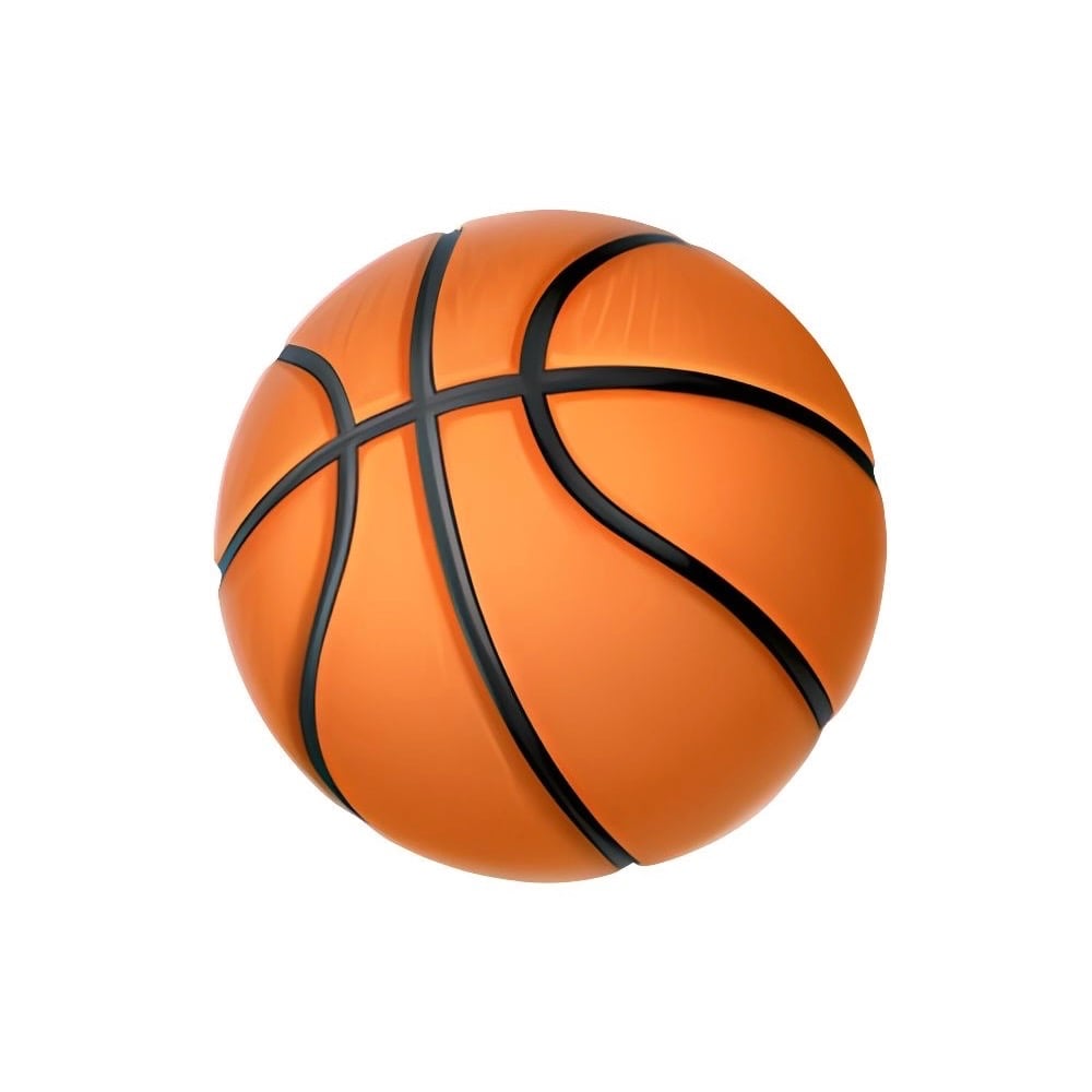 BASKETBALL SHOES