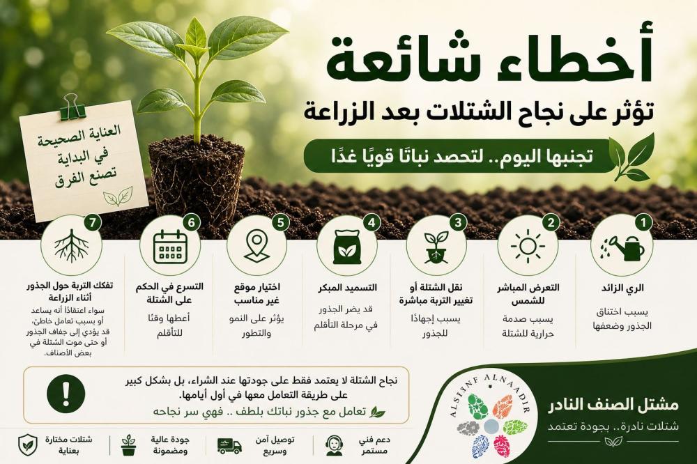 أخطاء شائعة تؤثر على نجاح الشتلات بعد الزراعة