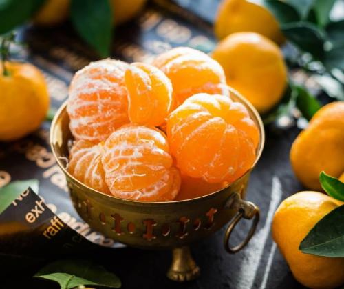 شتلات يوسفي مغربي كبير مركن ٢٨ عمر ٣ سنوات