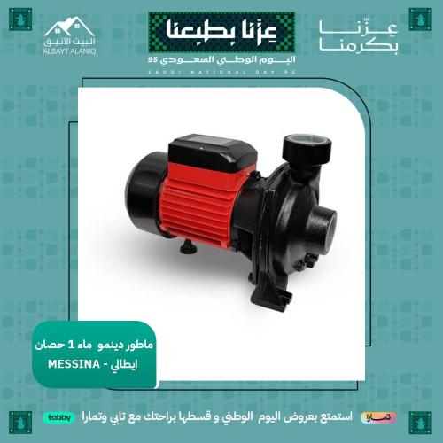 ماطور دينمو ماء 1 حصان ايطالي