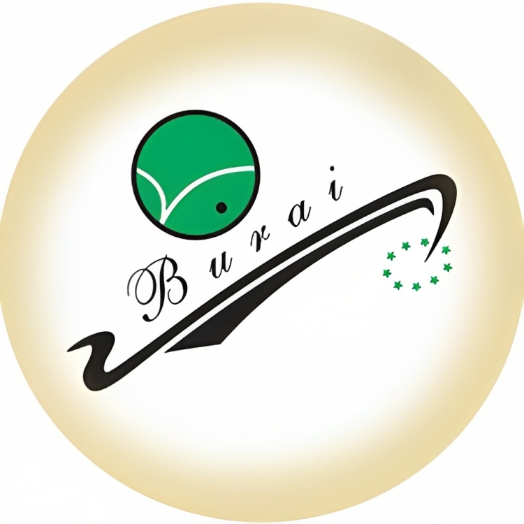 Buridi البريدي