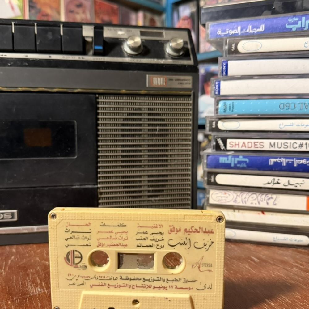 عبدالحكيم موفق - خريف العنب