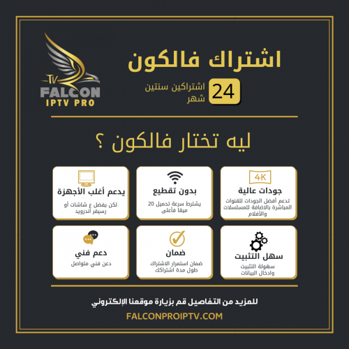 فالكون - 24 شهر (اشتراكين)
