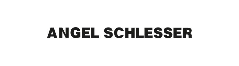 انجل شيلسر Angel Schlesser