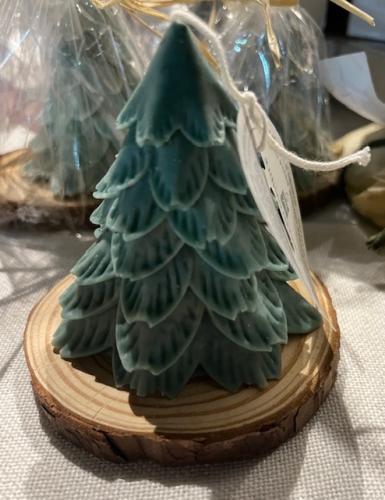 شمعة الغابة