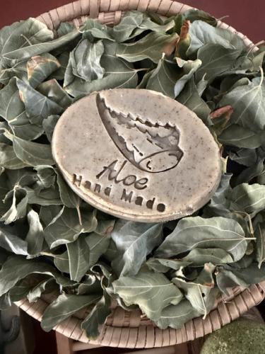 الصبار والسدر