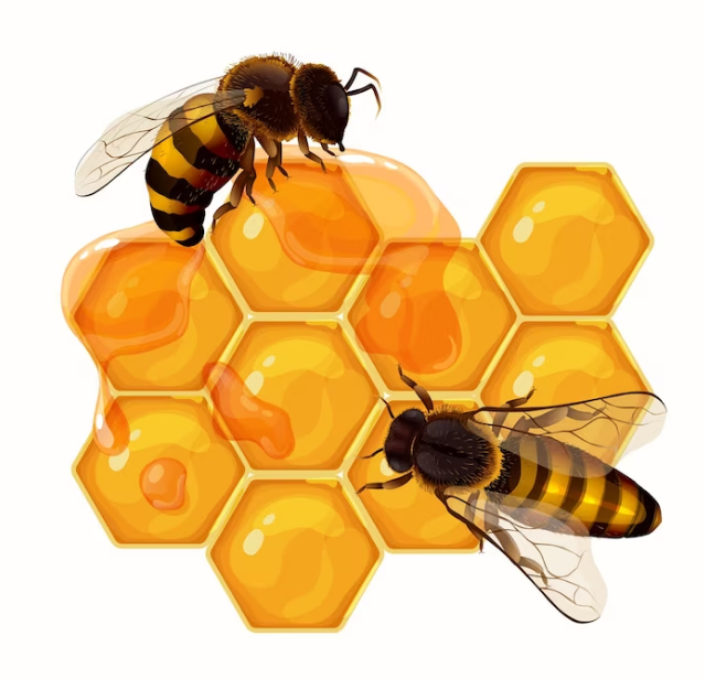 عسل ملكات النحل للانتصاب