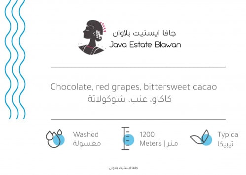 جافا ايستيت بلاوان 227 جرام - بيت التحميص