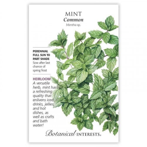 بذور نعناع - Common Mint Seeds