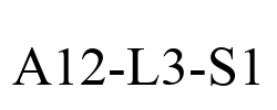 A12-L3-S1 A12-L3-S1