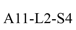 A11-L2-S4