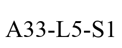 A33-L5-S1