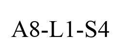 A8-L1-S4
