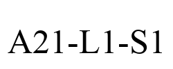 A21-L1-S1