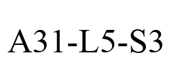 A31-L5-S3