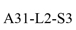 A31-L2-S3