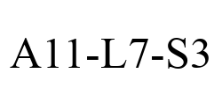 A11-L7-S3