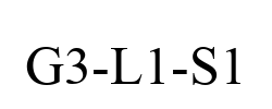 G3-L1-S1