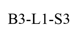 B3-L1-S3