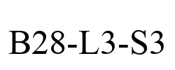 B28-L3-S3