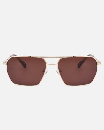 Stylish men's sunglasses in brown
