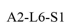 A2-L6-S1