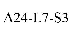 A24-L7-S3