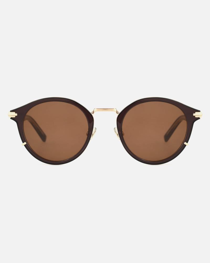 Classic Sunglasses Brown