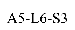 A5-L6-S3