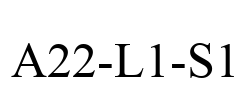 A22-L1-S1