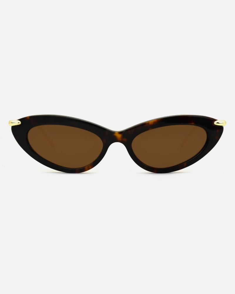 Women's Statement Sunglasses Brown