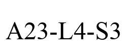 A23-L4-S3