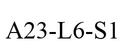 A23-L6-S1