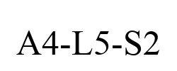 A4-L5-S2