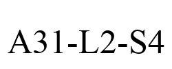 A31-L2-S4