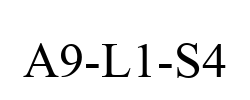 A9-L1-S4