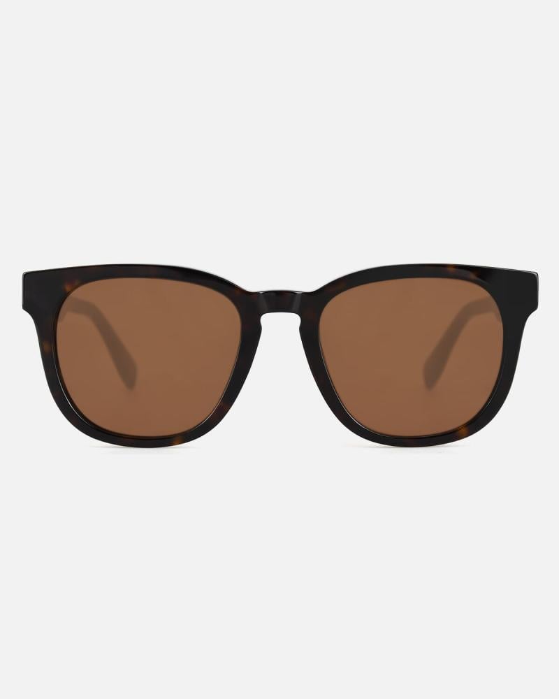 Classic Wide Sunglasses Brown