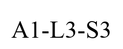 A1-L3-S3