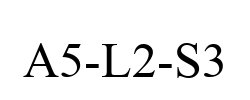 A5-L2-S3